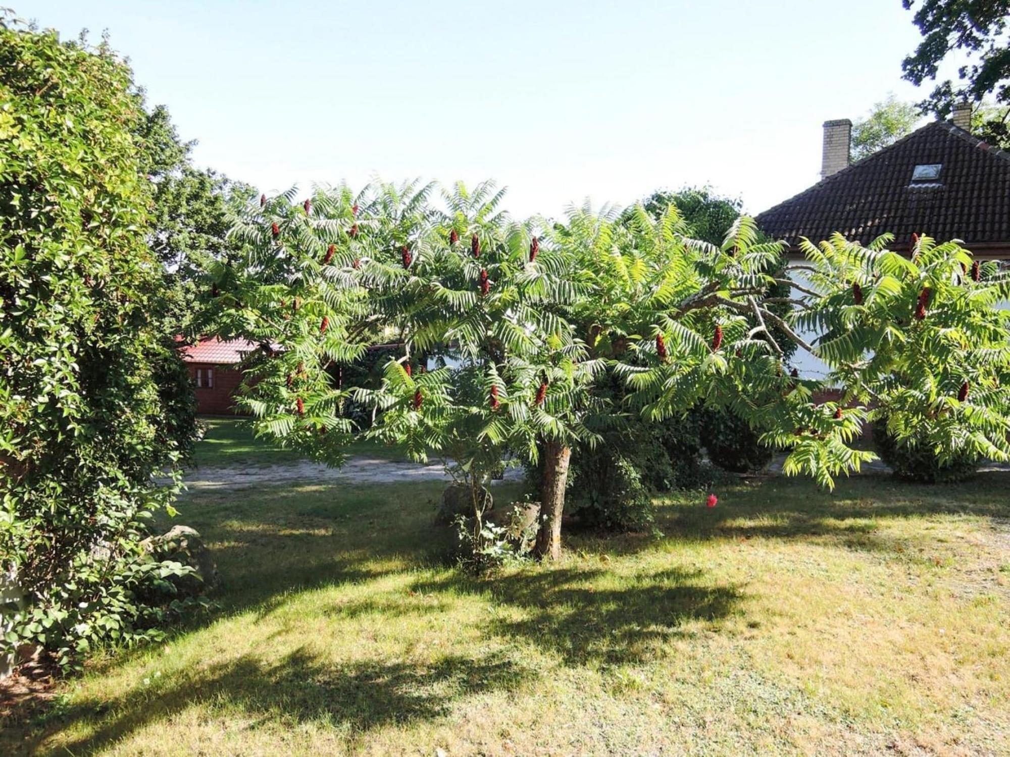 Bungalow In Lubin At 300 M From The Lake Esterno foto