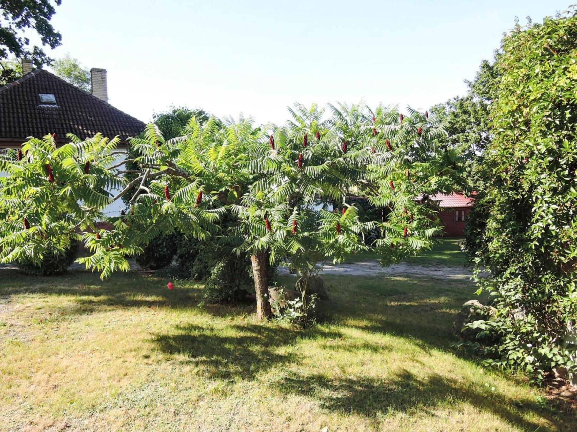 Bungalow In Lubin At 300 M From The Lake Esterno foto